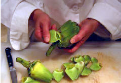 artichokes preparing clean 02 artichokes preparing clean 02